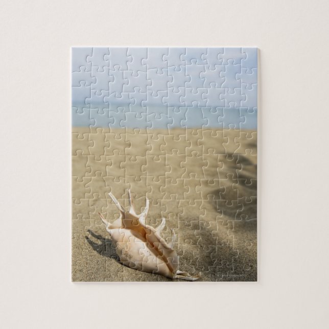 Seashell on sandy beach jigsaw puzzle (Vertical)