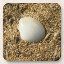 Seashell on the Beach