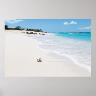 Seashell on the Beach Poster