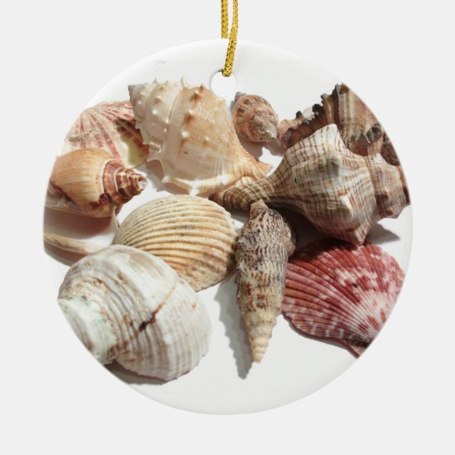 Seashell ornament (Front)