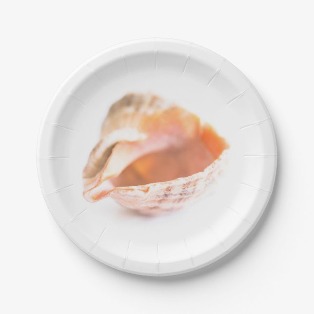 Seashell Paper Plate (Front)