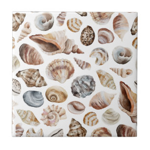 Seashell pattern ceramic tile