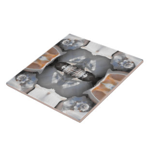 Seashell Pattern Tile