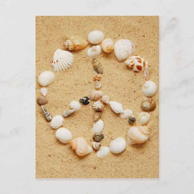 Seashell Peace Sign Postcard (Front)