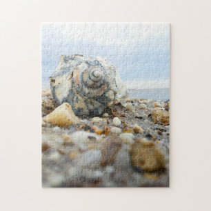Seashell & Pebbles Jigsaw Puzzle