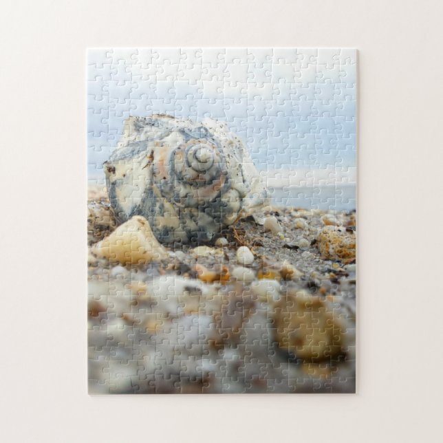 Seashell & Pebbles Jigsaw Puzzle (Vertical)