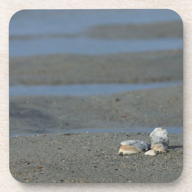 Seashell Pile Coaster (Front)