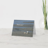 Seashell Pile Thank You Card