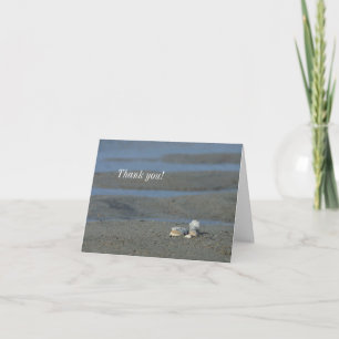 Seashell Pile Thank You Card