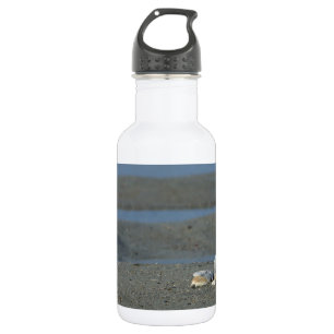 Seashell Pile Water Bottle