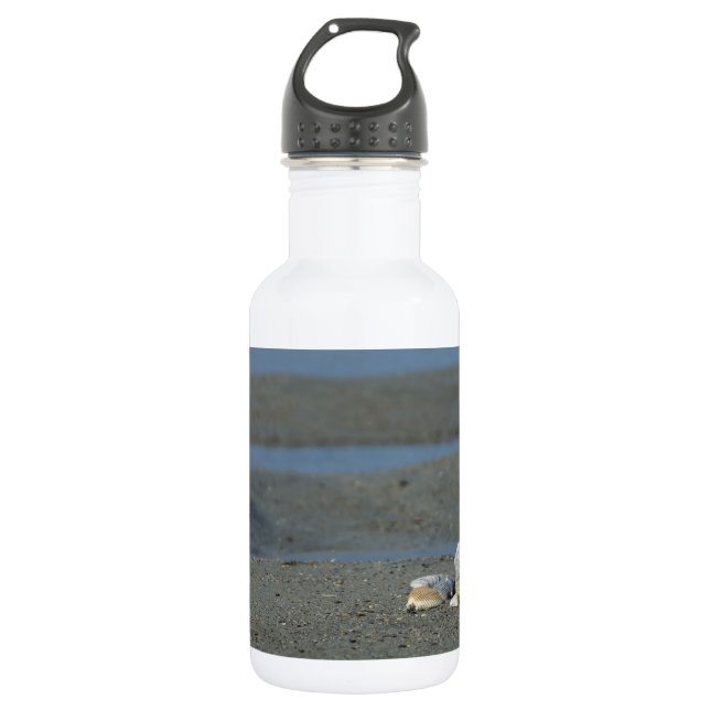 Seashell Pile Water Bottle (Front)