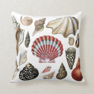 SEASHELL pillow