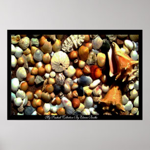 Seashell_ Poster_by Elenne Boothe Poster