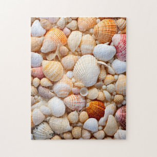 Seashell Puzzle.  Jigsaw Puzzle