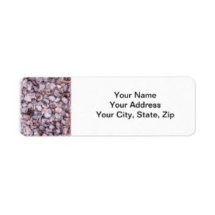 Seashell Return Address Lables Label