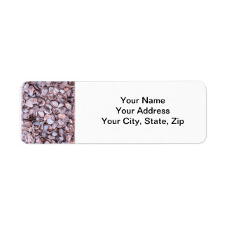 Seashell Return Address Lables Label