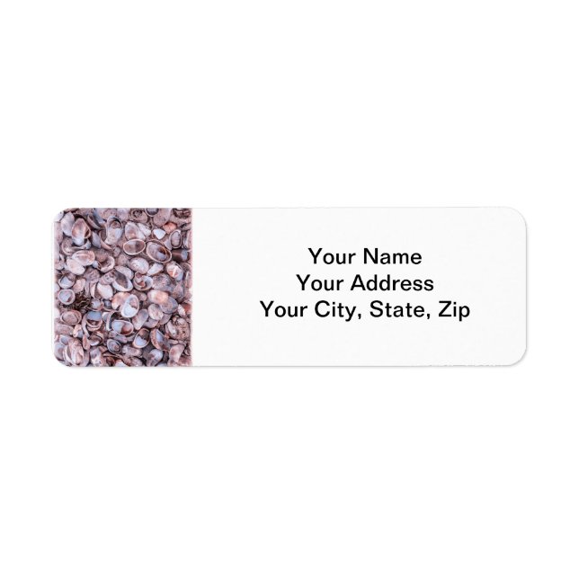 Seashell Return Address Lables Label (Front)