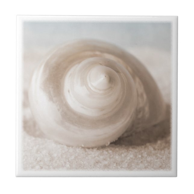 Seashell Sand Beach - Tropical Shells Template Ceramic Tile (Front)