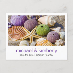 Seashell Save the Date Announcement Postcard