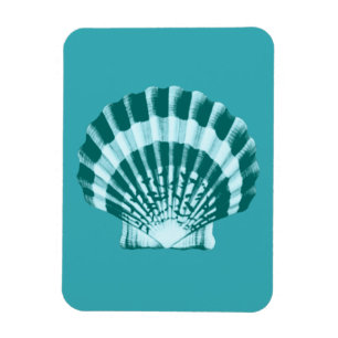 Seashell - Shades of teal blue Magnet