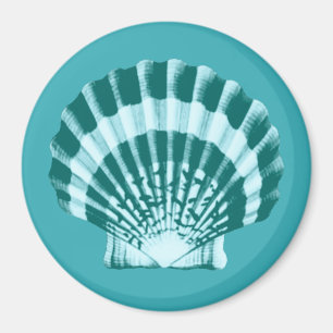Seashell - Shades of teal blue Magnet