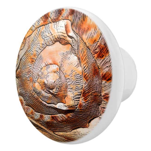 Seashell Shell Beach House Décor Ceramic Knob (Right)