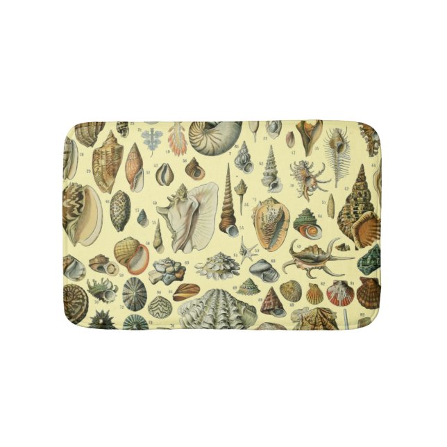 Seashell Shell Mollusk Clam Elegant Classic Art Bath Mat (Front)