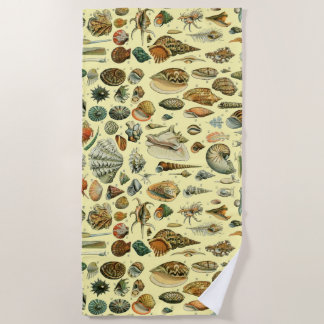 Seashell Shell Mollusk Clam Elegant Classic Art Beach Towel