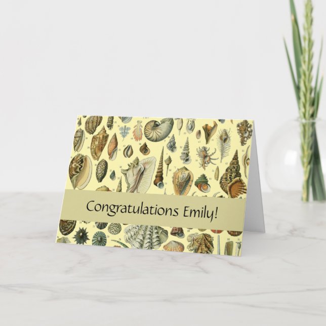 Seashell Shell Mollusk Clam Elegant Classic Art Card (Front)