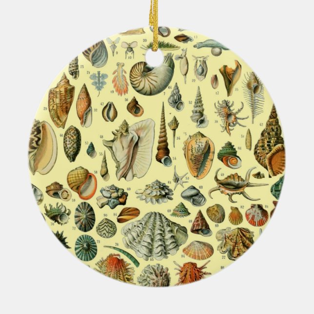 Seashell Shell Mollusk Clam Elegant Classic Art Ceramic Ornament (Back)