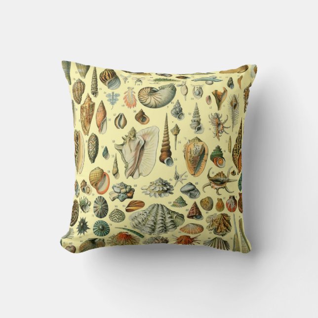 Seashell Shell Mollusk Clam Elegant Classic Art Cushion (Front)