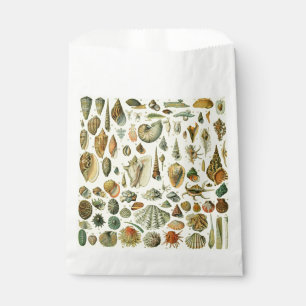 Seashell Shell Mollusk Clam Elegant Classic Art Favour Bag