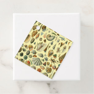Seashell Shell Mollusk Clam Elegant Classic Art Favour Tags