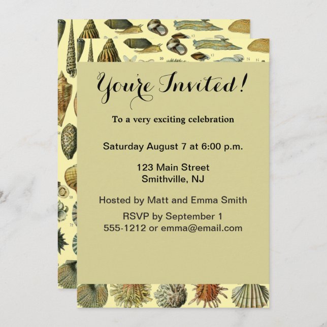 Seashell Shell Mollusk Clam Elegant Classic Art Invitation (Front/Back)