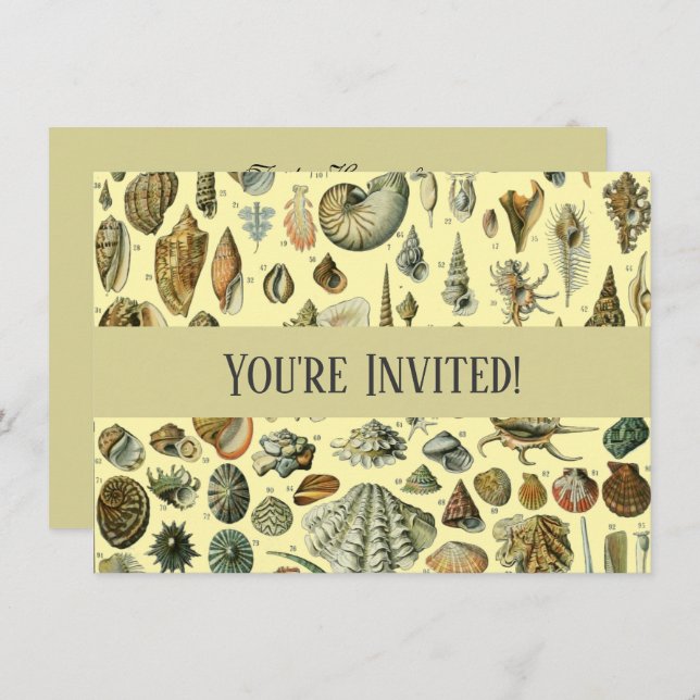 Seashell Shell Mollusk Clam Elegant Classic Art Invitation (Front/Back)