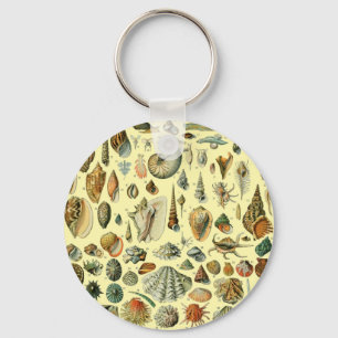 Seashell Shell Mollusk Clam Elegant Classic Art Key Ring