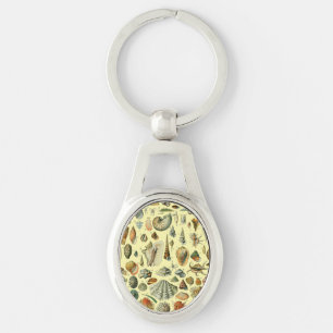 Seashell Shell Mollusk Clam Elegant Classic Art Key Ring