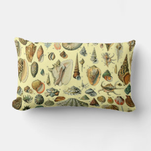 Seashell Shell Mollusk Clam Elegant Classic Art Lumbar Cushion