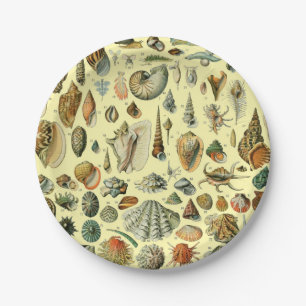 Seashell Shell Mollusk Clam Elegant Classic Art Paper Plate