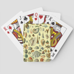 Seashell Shell Mollusk Clam Elegant Classic Art Playing Cards