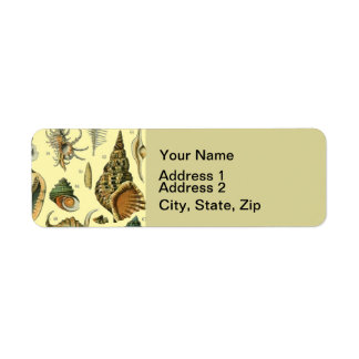 Seashell Shell Mollusk Clam Elegant Classic Art Return Address Label