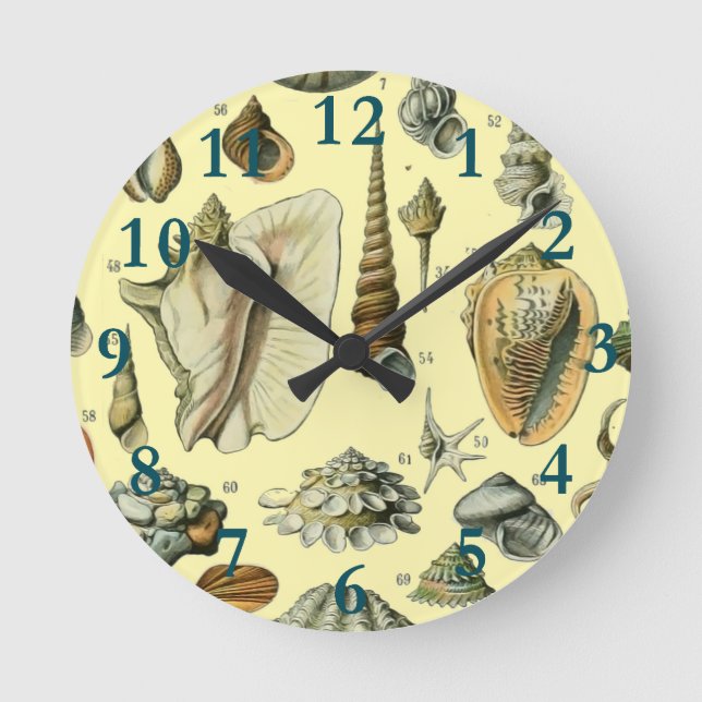 Seashell Shell Mollusk Clam Elegant Classic Art Round Clock (Front)