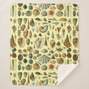 Seashell Shell Mollusk Clam Elegant Classic Art Sherpa Blanket