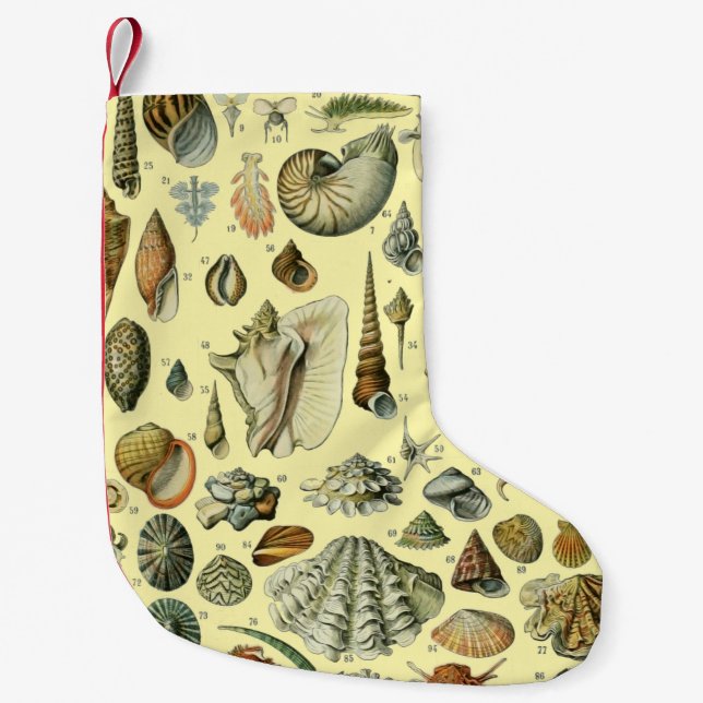 Seashell Shell Mollusk Clam Elegant Classic Art Small Christmas Stocking (Front)