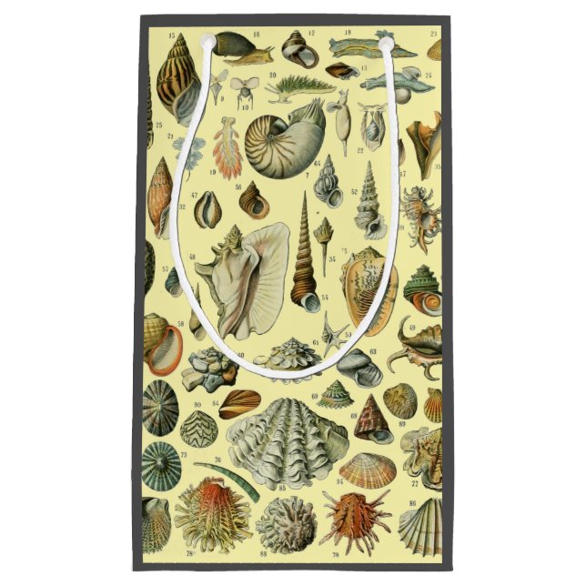 Seashell Shell Mollusk Clam Elegant Classic Art Small Gift Bag (Front)