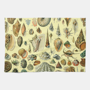 Seashell Shell Mollusk Clam Elegant Classic Art Tea Towel