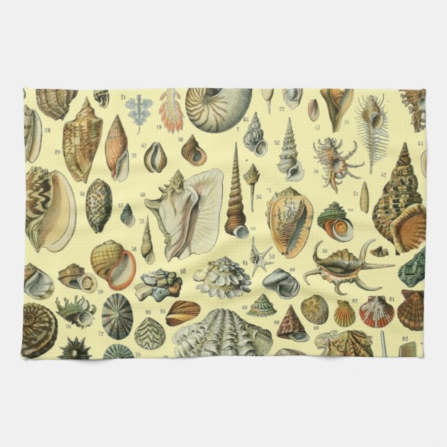 Seashell Shell Mollusk Clam Elegant Classic Art Tea Towel (Horizontal)