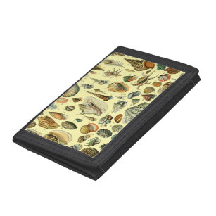 Seashell Shell Mollusk Clam Elegant Classic Art Trifold Wallet