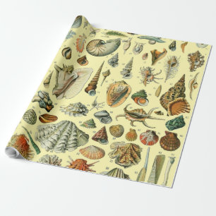Seashell Shell Mollusk Clam Elegant Classic Art Wrapping Paper