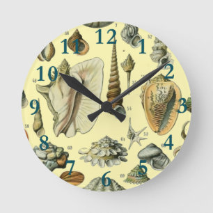Seashell Shell Mollusk Clam Vintage Art Round Clock